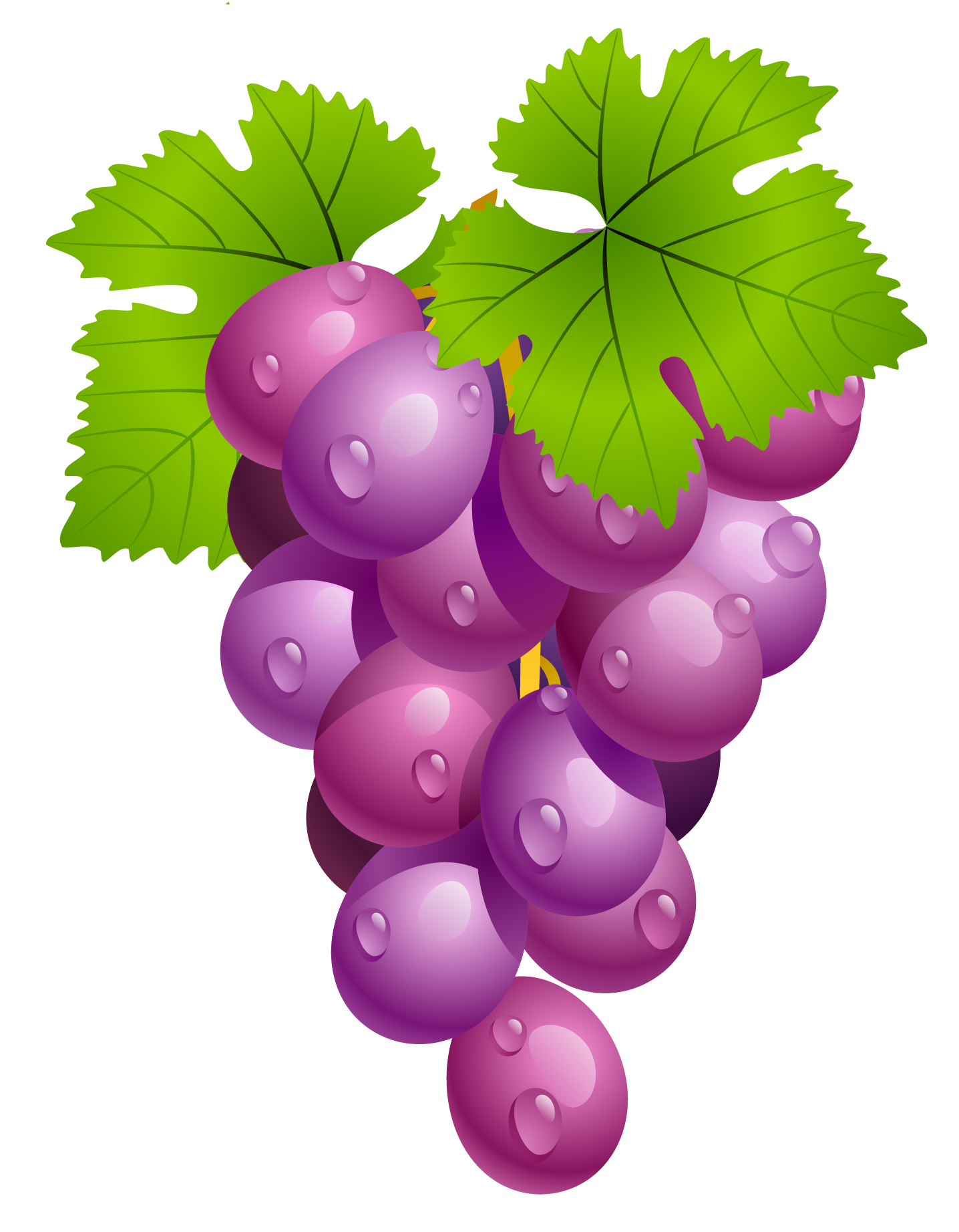 grapes with leaves png clipart picture